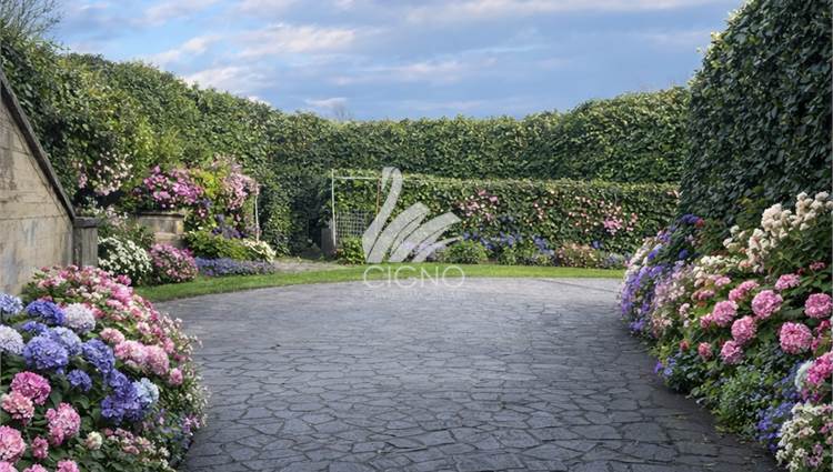 RENDER ingresso rampa